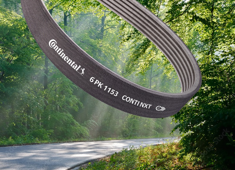 Continental belt